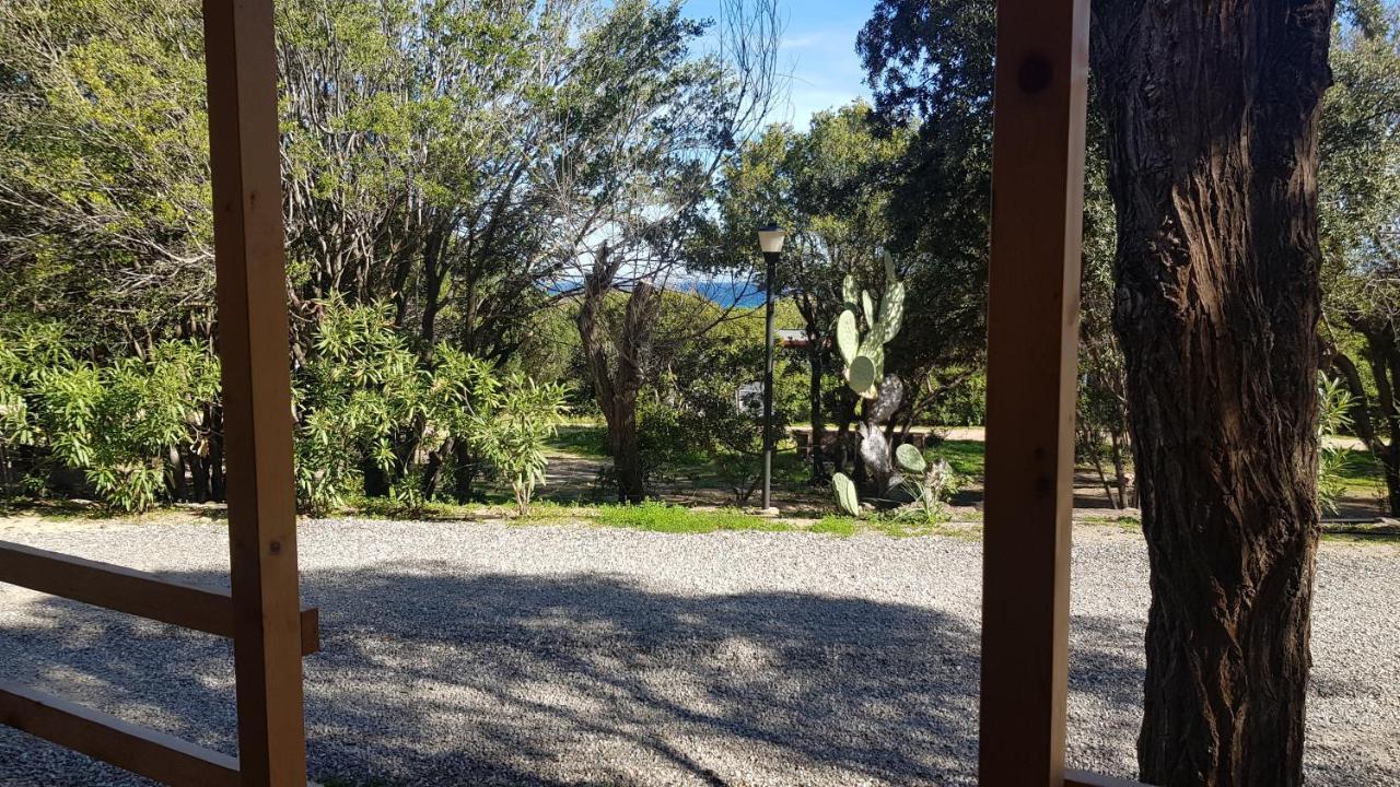 New Camping Coccorrocci Marina di Gairo ภายนอก รูปภาพ