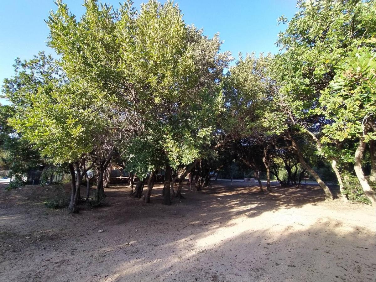 New Camping Coccorrocci Marina di Gairo ภายนอก รูปภาพ