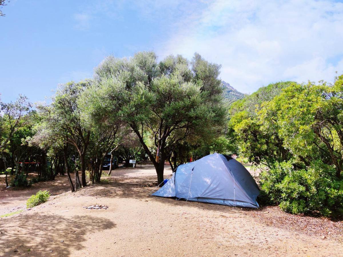 New Camping Coccorrocci Marina di Gairo ภายนอก รูปภาพ