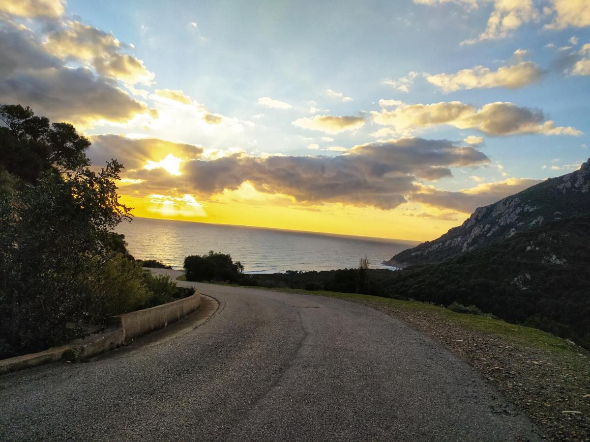 New Camping Coccorrocci Marina di Gairo ภายนอก รูปภาพ