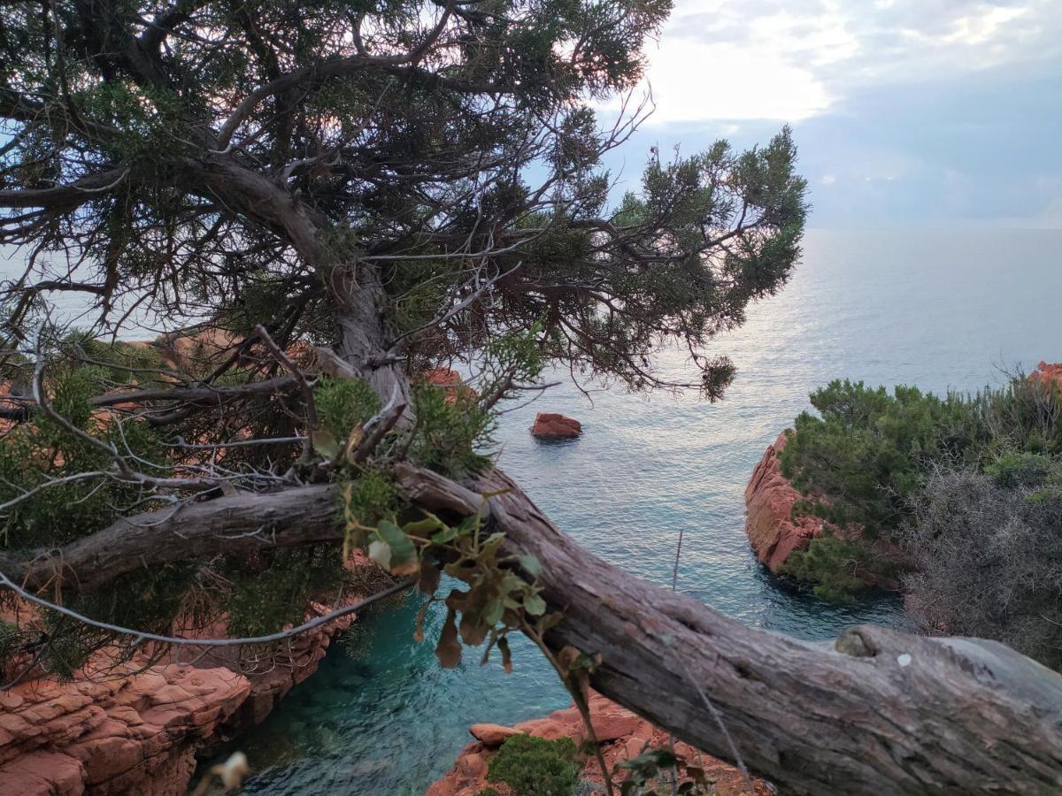 New Camping Coccorrocci Marina di Gairo ภายนอก รูปภาพ