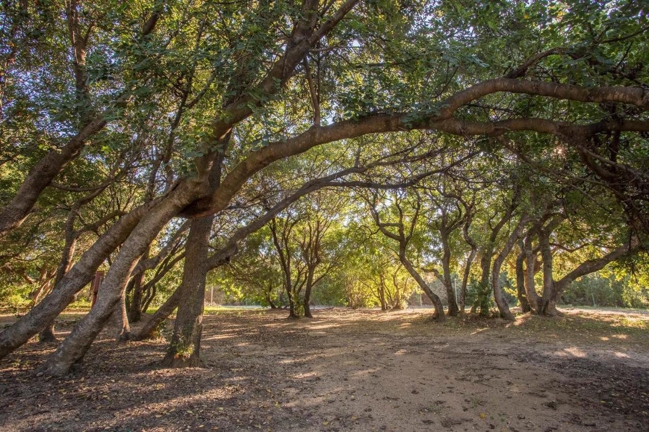 New Camping Coccorrocci Marina di Gairo ภายนอก รูปภาพ