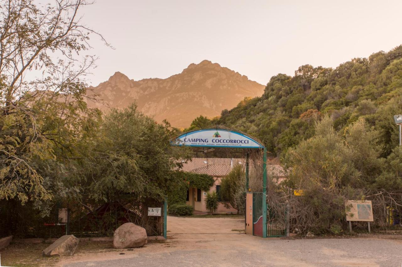 New Camping Coccorrocci Marina di Gairo ภายนอก รูปภาพ